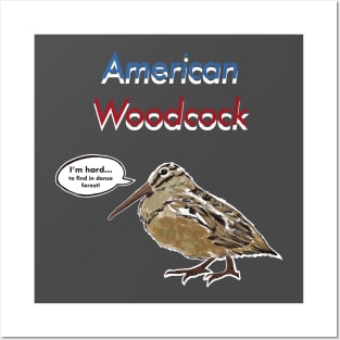 American Woodcock Posters and Art